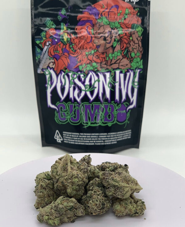 Buy Poison Ivy Gumbo Online