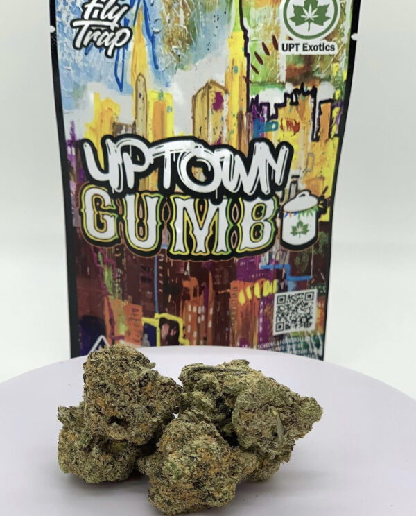 Buy Uptown Gumbo Online