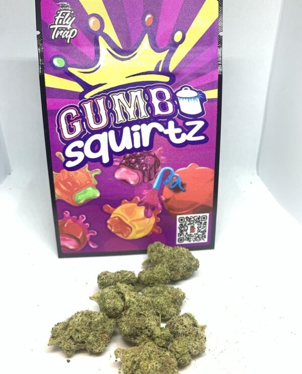 Buy Squirtz Gumbo Strain Online
