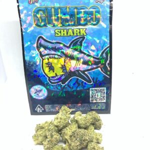 Buy Shark Gumbo Strain Online