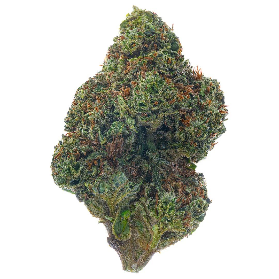 Solar Skunk - PLATINUM