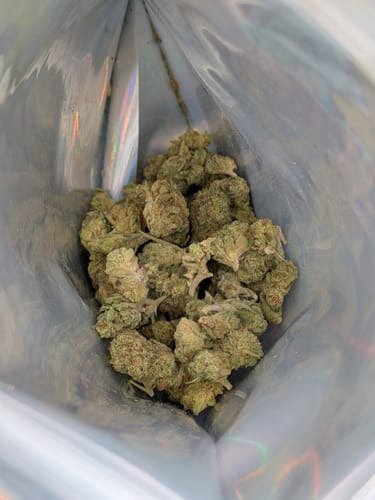 Top Shelf