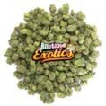 Boutique_Exotic_prod_heros_14g_minis_57010393-1e58-4562-ae17-214a21adb91a